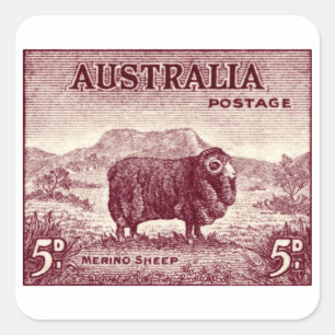 1934 Australian Merino Sheep Square Sticker