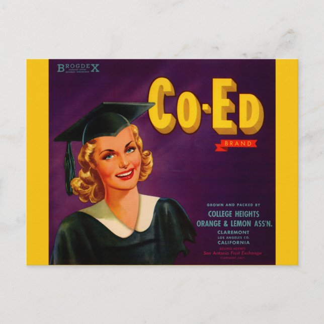 1940s Co-Ed Brand citrus crate label Postcard (Front)