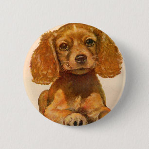 1940s cocker spaniel puppy - The Cutest in History 6 Cm Round Badge