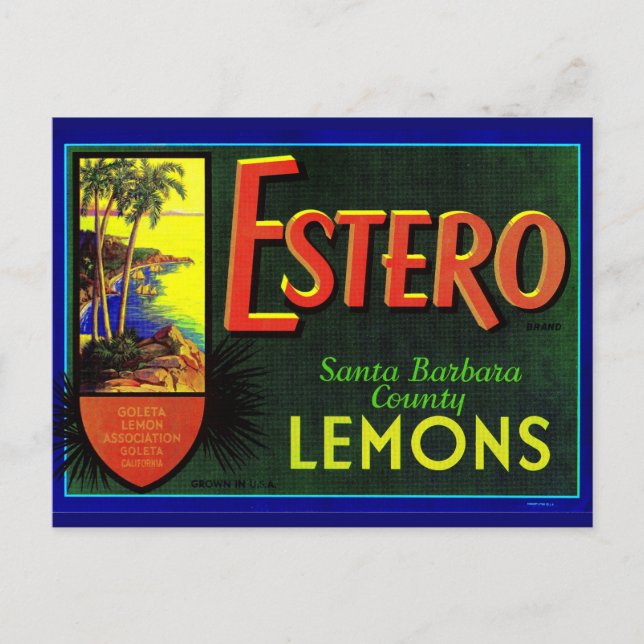 1940s Estero lemons fruit crate label Postcard (Front)