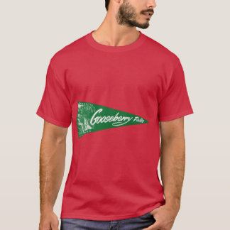 1940s Gooseberry Falls State Park Minnestoa Oversi T-Shirt