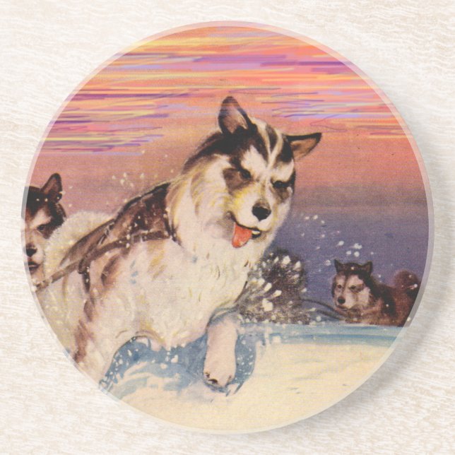 1940s Siberian husky sled dogs doing their thing Coaster (Front)