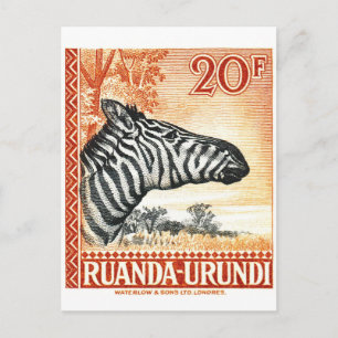 1942 Ruanda Urundi Zebra Postage Stamp Postcard