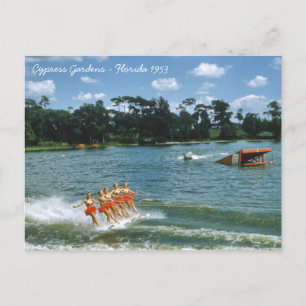 1950's Cypress Gardens Water Ski Show Aqua Maids Postcard