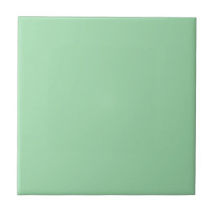 1950's Retro Mint Green Kitchen and Bathroom Tile