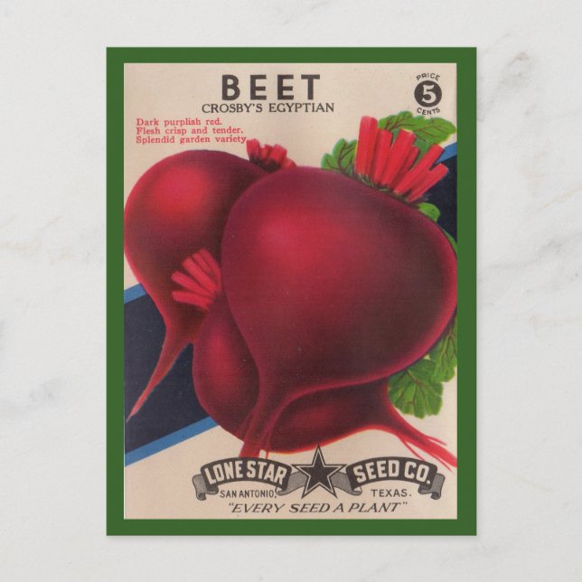 1950s seed packet Beets Postcard (Front)
