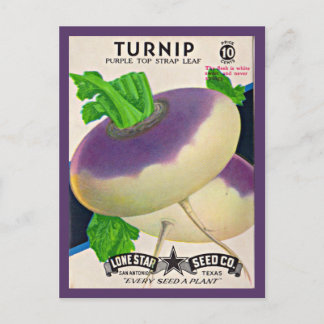 1950s seed packet turnips print postcard