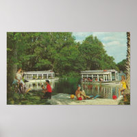 1960 Silver Springs, Florida ~ Glass Bottom Boats