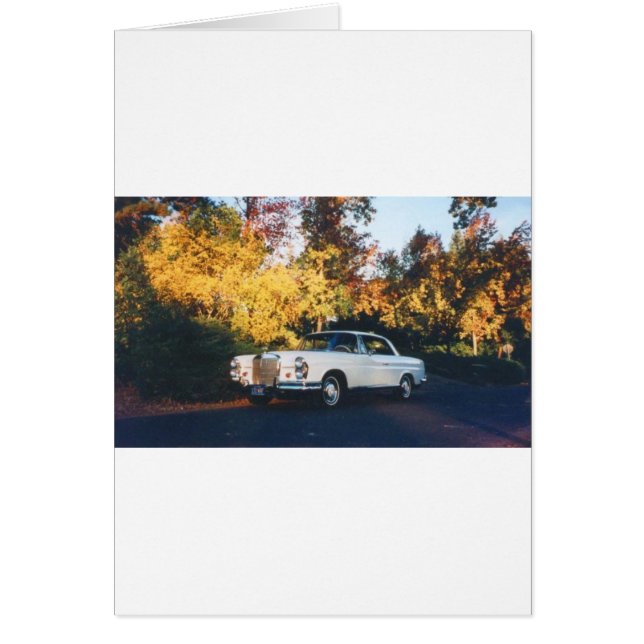 1965 Mercedes-Benz 220SEb coupe (Front)