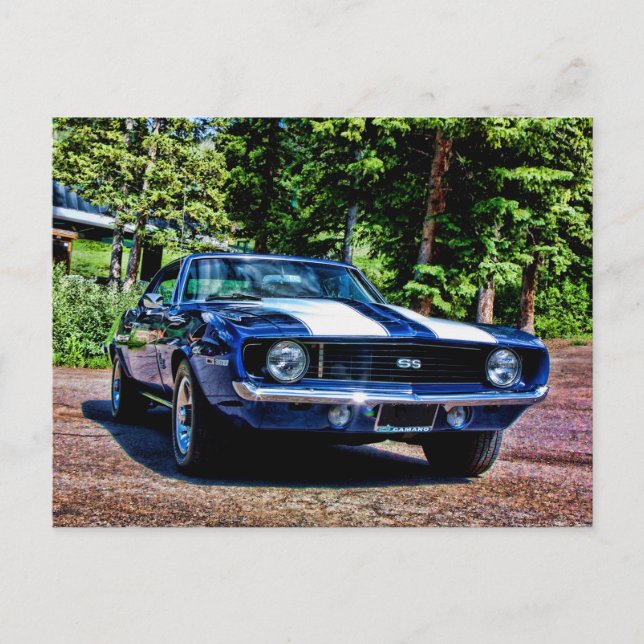 1969 chevy super sport SS Camaro Postcard (Front)