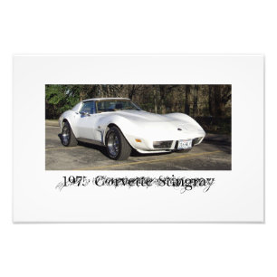 1975 Corvette Stingray Photo