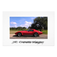 1975 Corvette Stingray Photo