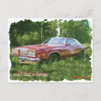 1976 Oldsmobile Cutlass Supreme Coupe.