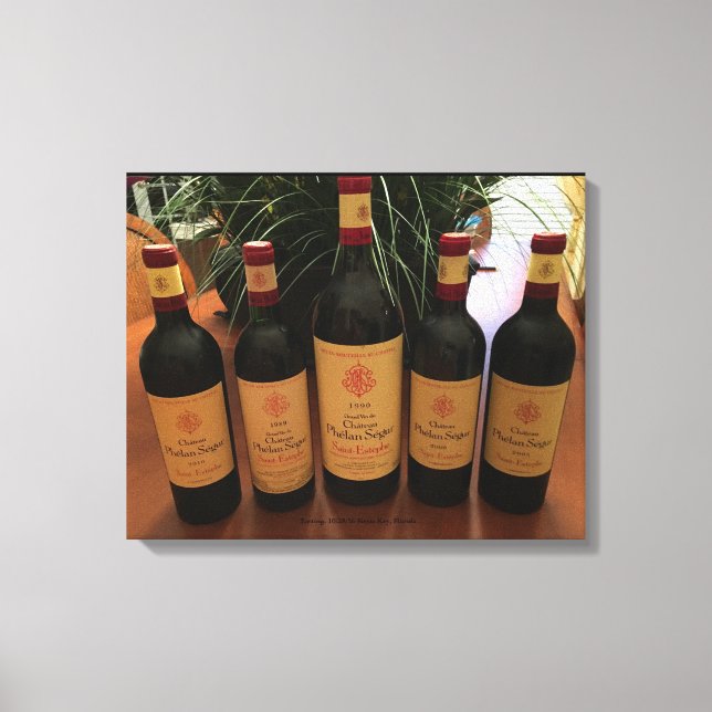 1989,1990,2000,2005,2010 Phelan Segur Tasting. Canvas Print (Front)