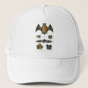 19th C. Bat Print Trucker Hat