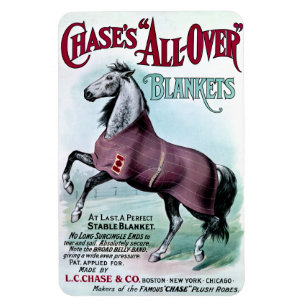 19th C. Chase Horse Blankets Magnet