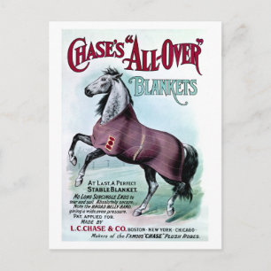19th C. Chase Horse Blankets Postcard