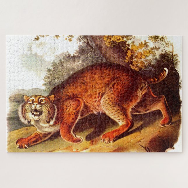 19th century bobcat print jigsaw puzzle (Horizontal)