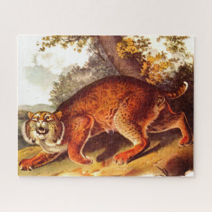 19th century bobcat print jigsaw puzzle