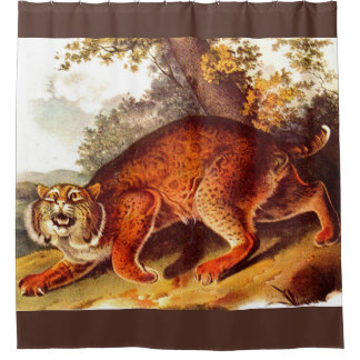 19th century bobcat print shower curtain