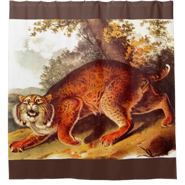 19th century bobcat print shower curtain (Front)