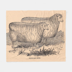 19th century Cotswold ewes print Fleece Blanket