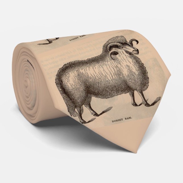 19th century Dorset ram sheep print  Tie (Rolled)