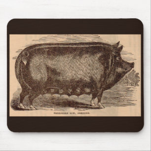 19th century farm animal print Berkshire sow breed Mouse Pad