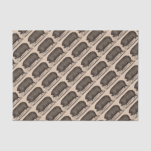 19th century farm animal print Berkshire sow no.2 Tissue Paper