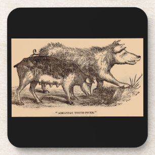 19th century farm animal print pigs coaster