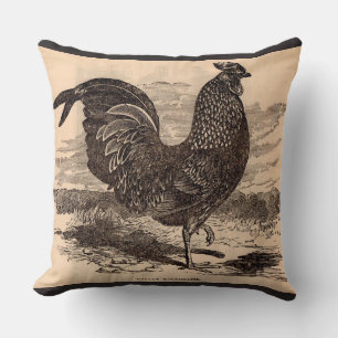 19th century Gallus Sonneratii rooster print Cushion