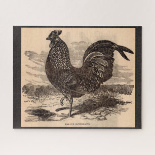 19th century Gallus Sonneratii rooster print Jigsaw Puzzle