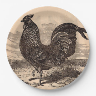 19th century Gallus Sonneratii rooster print Paper Plate