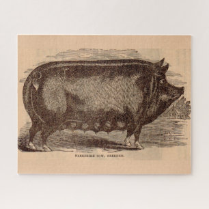 19th century pig print Berkshire sow no. 1 Jigsaw Puzzle