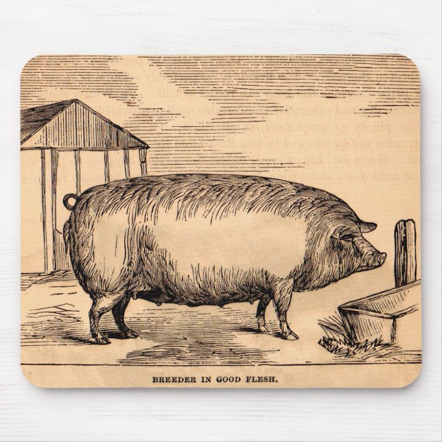 19th century pig print ‘Breeder in Good Flesh’ Mouse Pad (Front)
