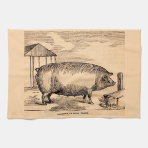 19th century pig print ‘Breeder in Good Flesh’ Tea Towel