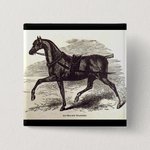 19th century print An English Roadster horse 15 Cm Square Badge