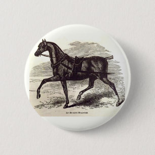 19th century print An English Roadster horse 6 Cm Round Badge