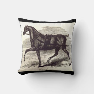 19th century print An English Roadster horse Cushion