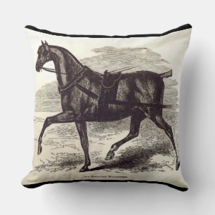 19th century print An English Roadster horse Cushion