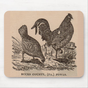 19th century print Bucks County fowls chickens Mouse Pad