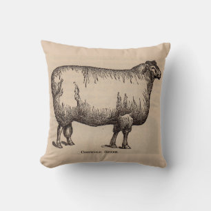 19th century print Cotswold sheep Cushion