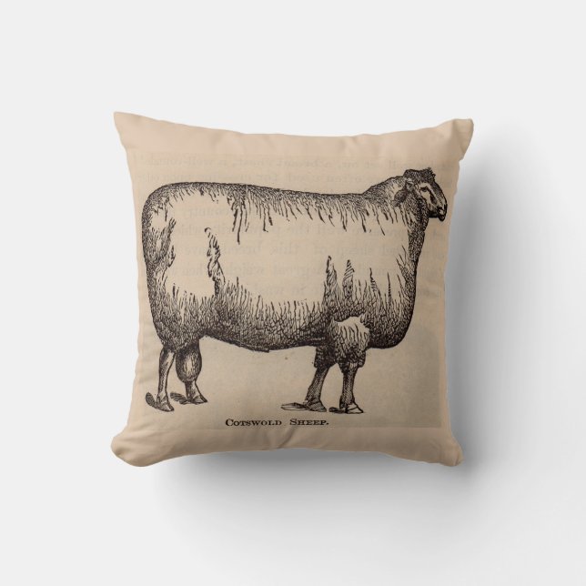 19th century print Cotswold sheep Cushion (Front)