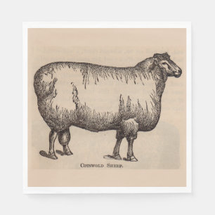 19th century print Cotswold sheep Napkin