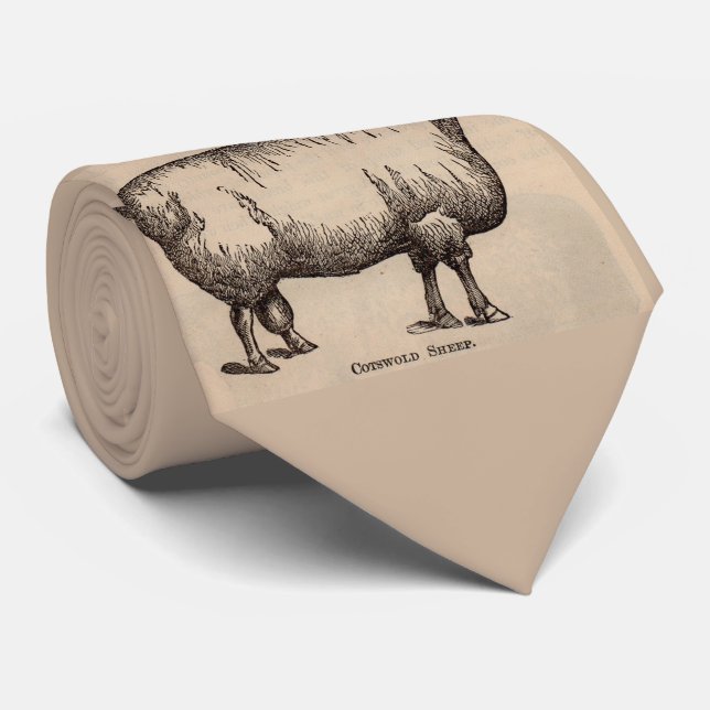 19th century print Cotswold sheep print Tie (Rolled)