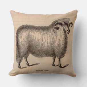 19th century print Dorset ram Cushion