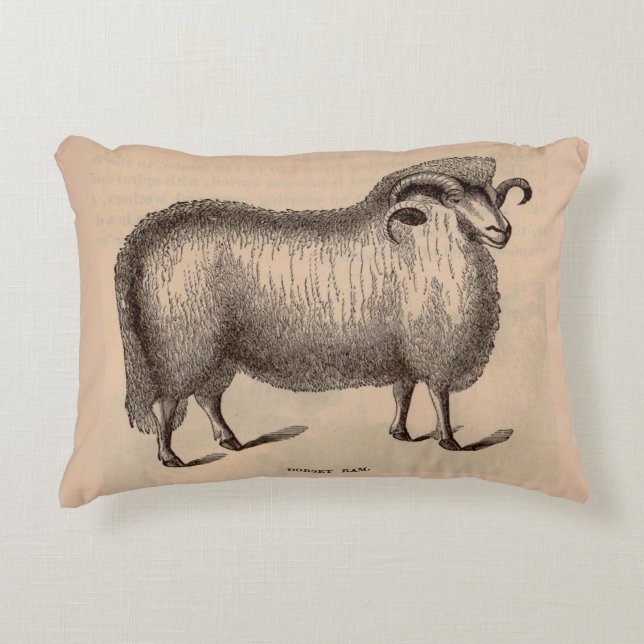 19th century print Dorset ram Decorative Cushion (Front)