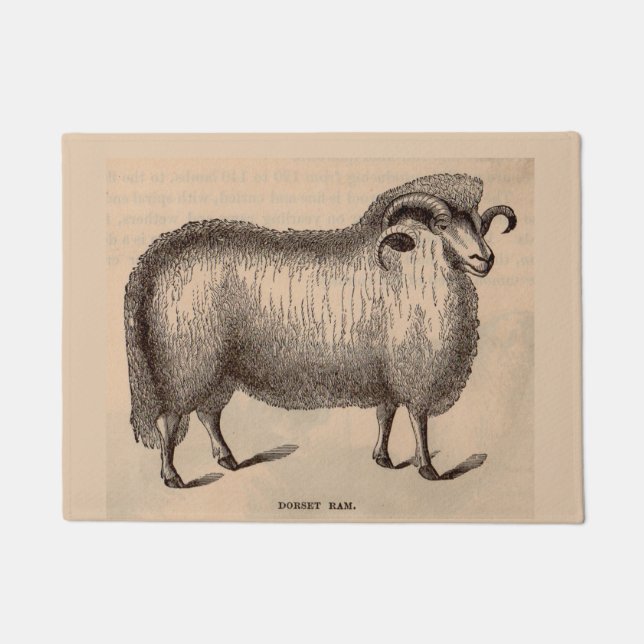 19th century print Dorset ram Doormat (Front)
