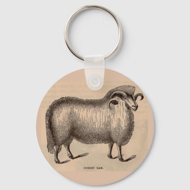 19th century print Dorset ram Key Ring (Front)