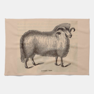 19th century print Dorset ram Tea Towel